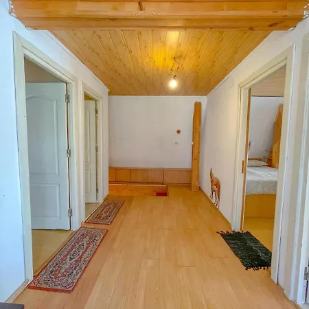 Villa Pinevilla Brasov